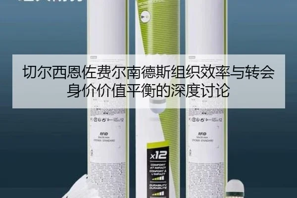 切尔西恩佐费尔南德斯组织效率与转会身价价值平衡的深度讨论