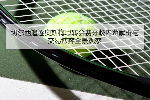 切尔西追逐奥斯梅恩转会费分歧内幕解析与交易博弈全景观察