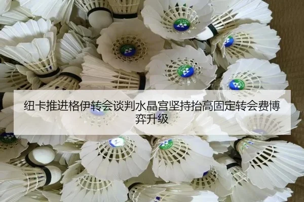 纽卡推进格伊转会谈判水晶宫坚持抬高固定转会费博弈升级